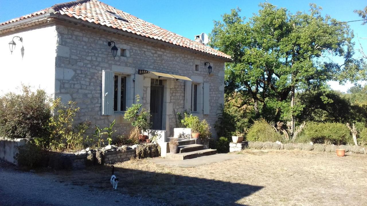 Domaine De Seguela Bed & Breakfast Fargues  Ngoại thất bức ảnh